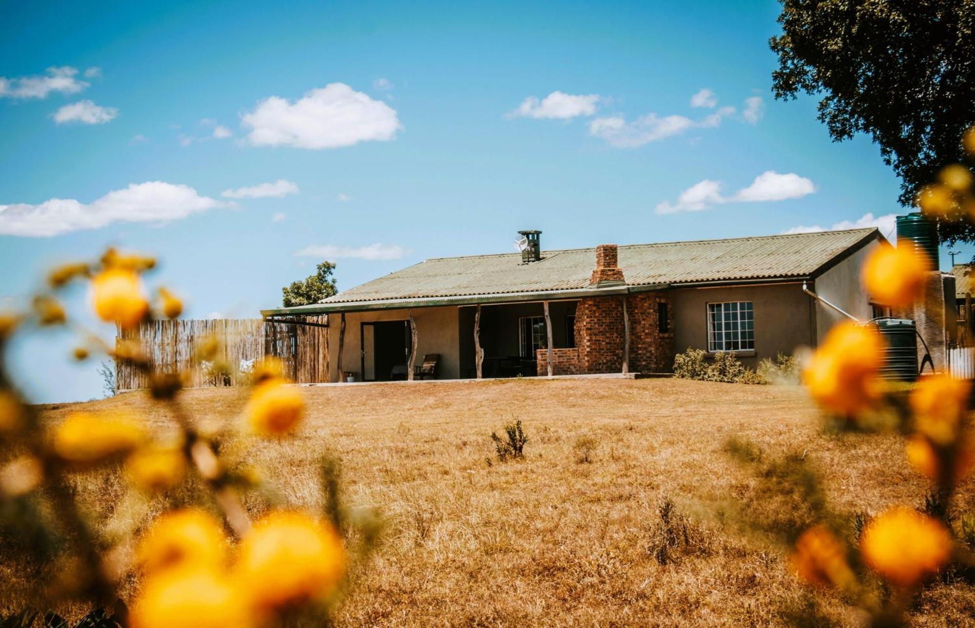 The Ranch House At African Safari Lodge Grahamstown Extérieur photo