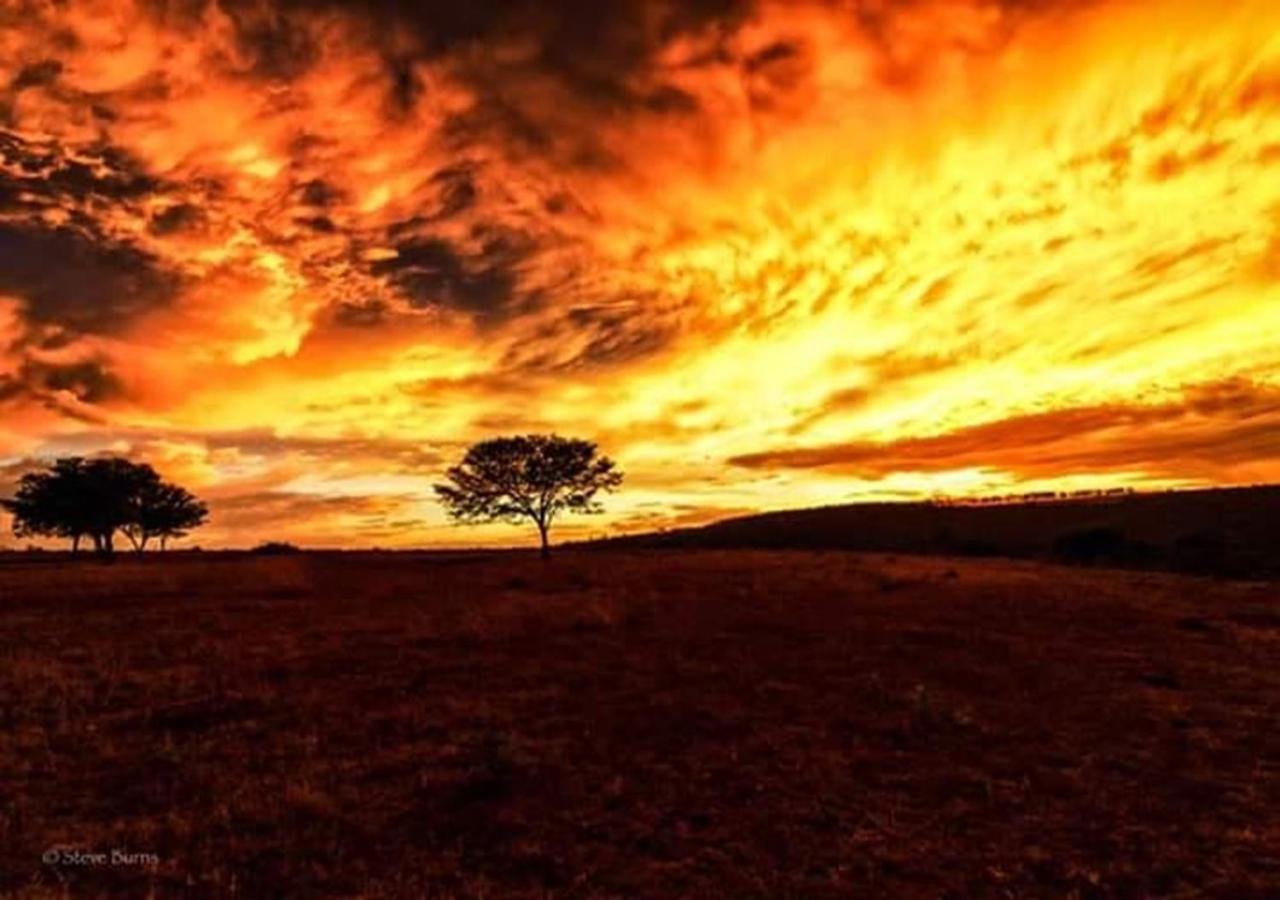 The Ranch House At African Safari Lodge Grahamstown Extérieur photo